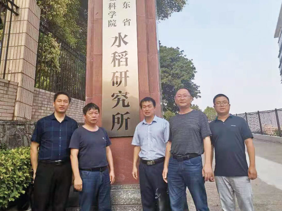 广东水稻所三系杂交稻育种研究室团队: 广东水稻所三系杂交稻育种研究室团队: