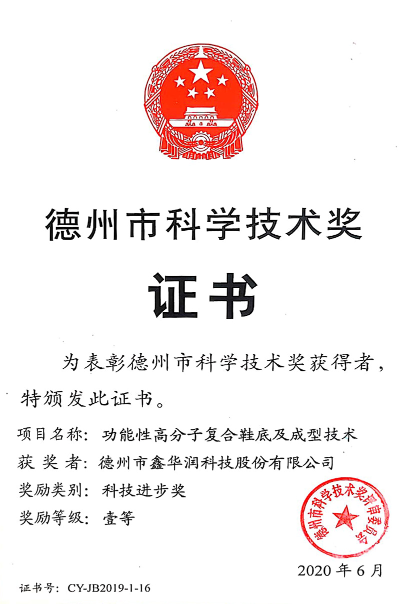 First-class prize of 2020 Dezhou Science and Technology Progress Award