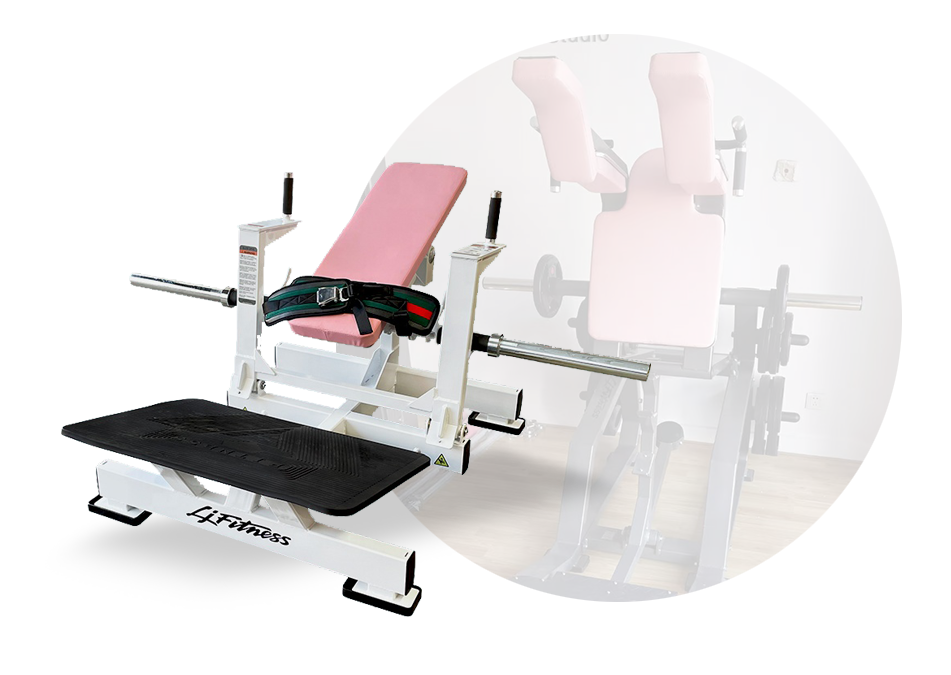 Hip bridge crane