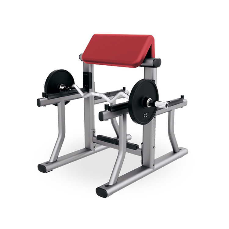 Arm curl(excluding bar&plates)