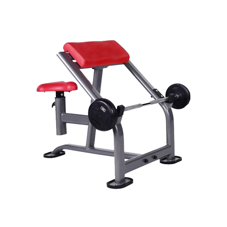 Seat arm curl(excluding barbell)
