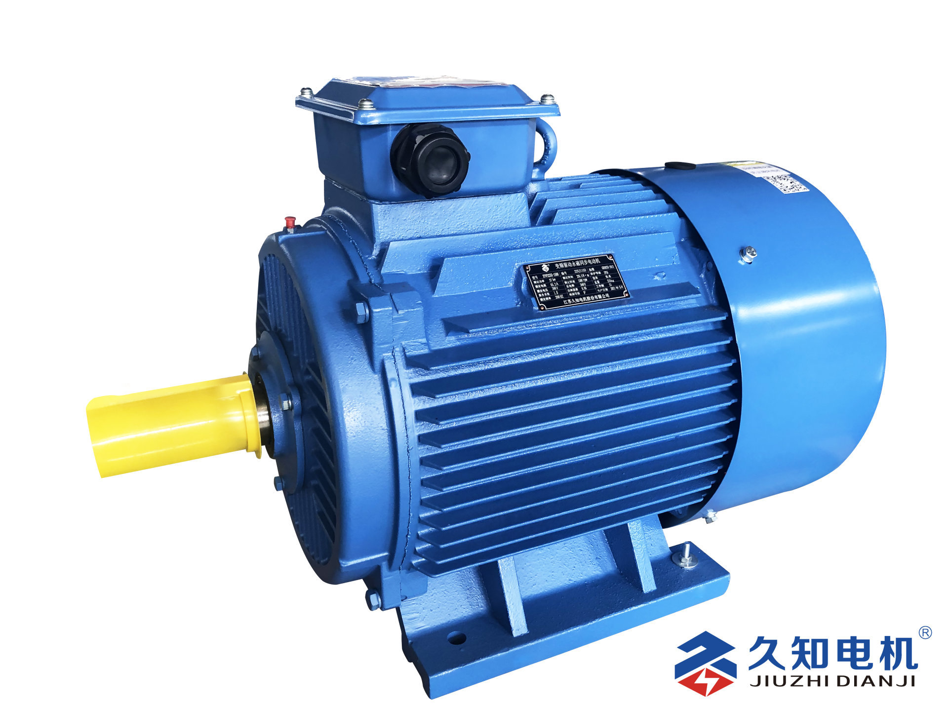 XY series self-starting permanent magnet synchronous motor
