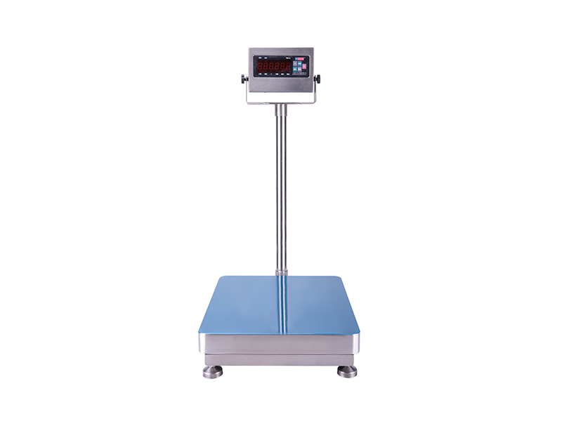 Stainless steel bench scale