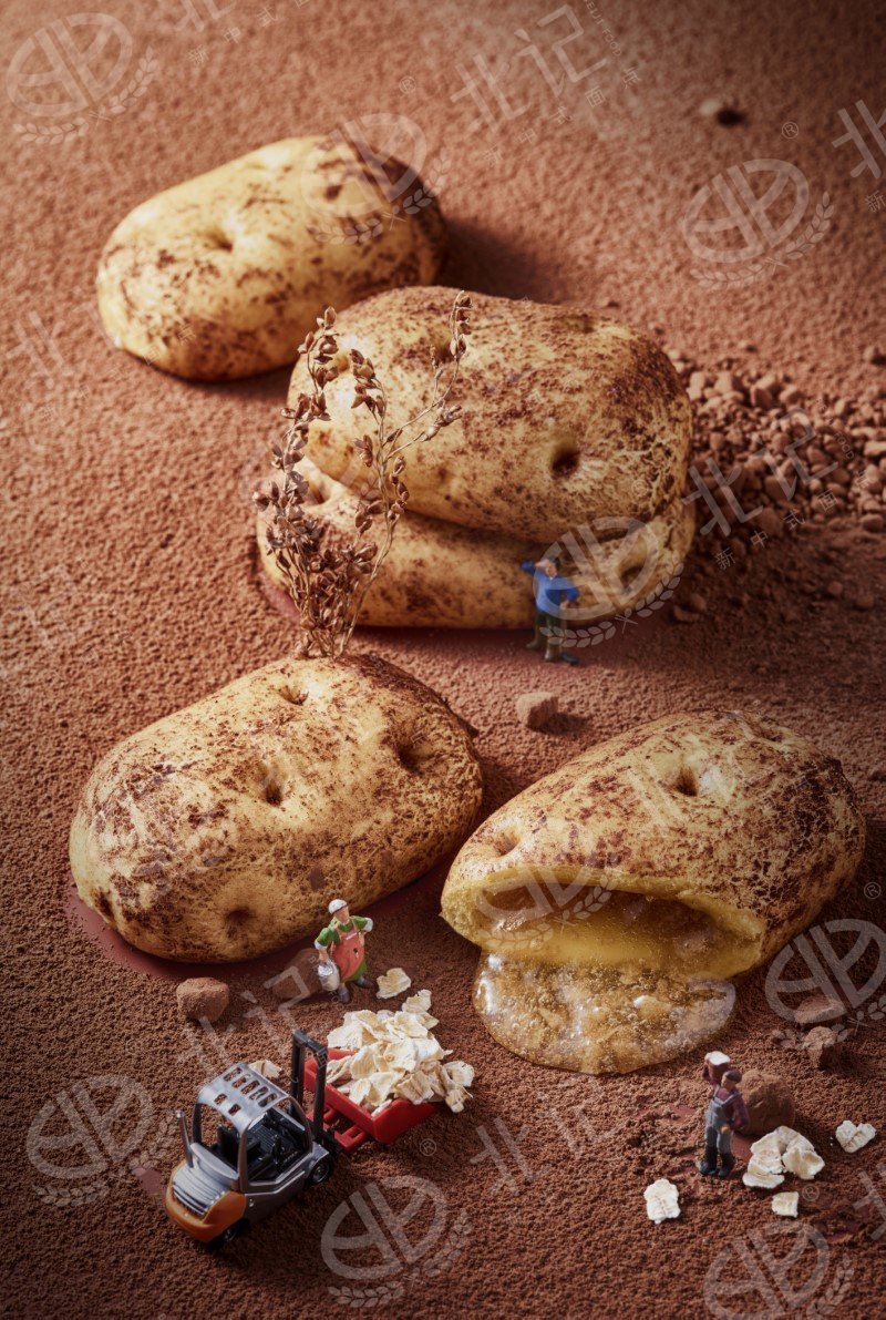 Oatmeal Potato Bun