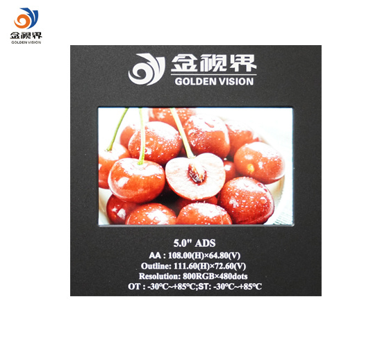 5-Inch high-definition TFT LCD screen