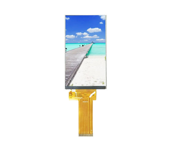 Oximeter LCD Display