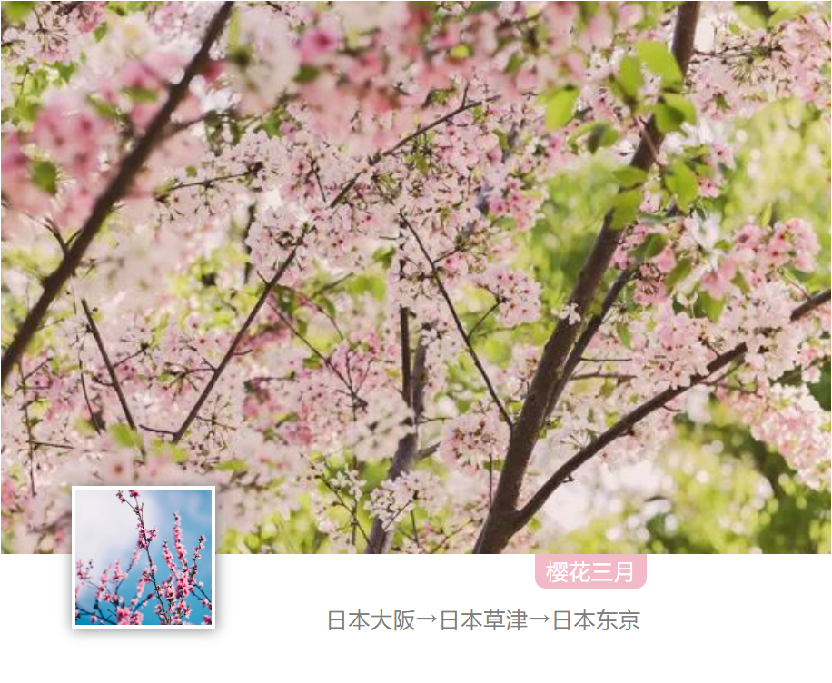 樱花三月，与氢（卿）同行-共赴每年日本FC EXPO之约