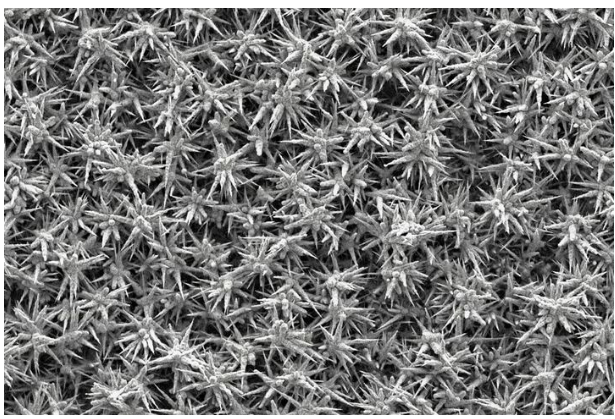 英国Oxford NanoSystems (ONS)研发金属合金nanoFlux涂层将使碱性电解槽制氢率翻倍