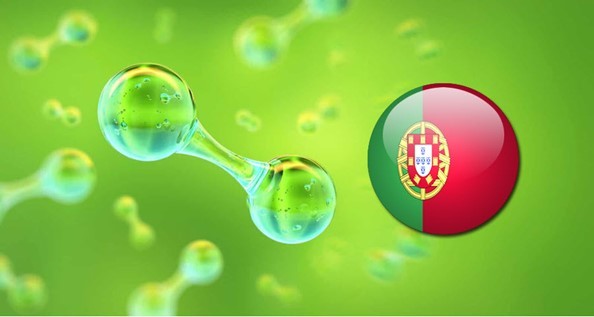 Portugal reveals first details of upcoming green hydrogen tender