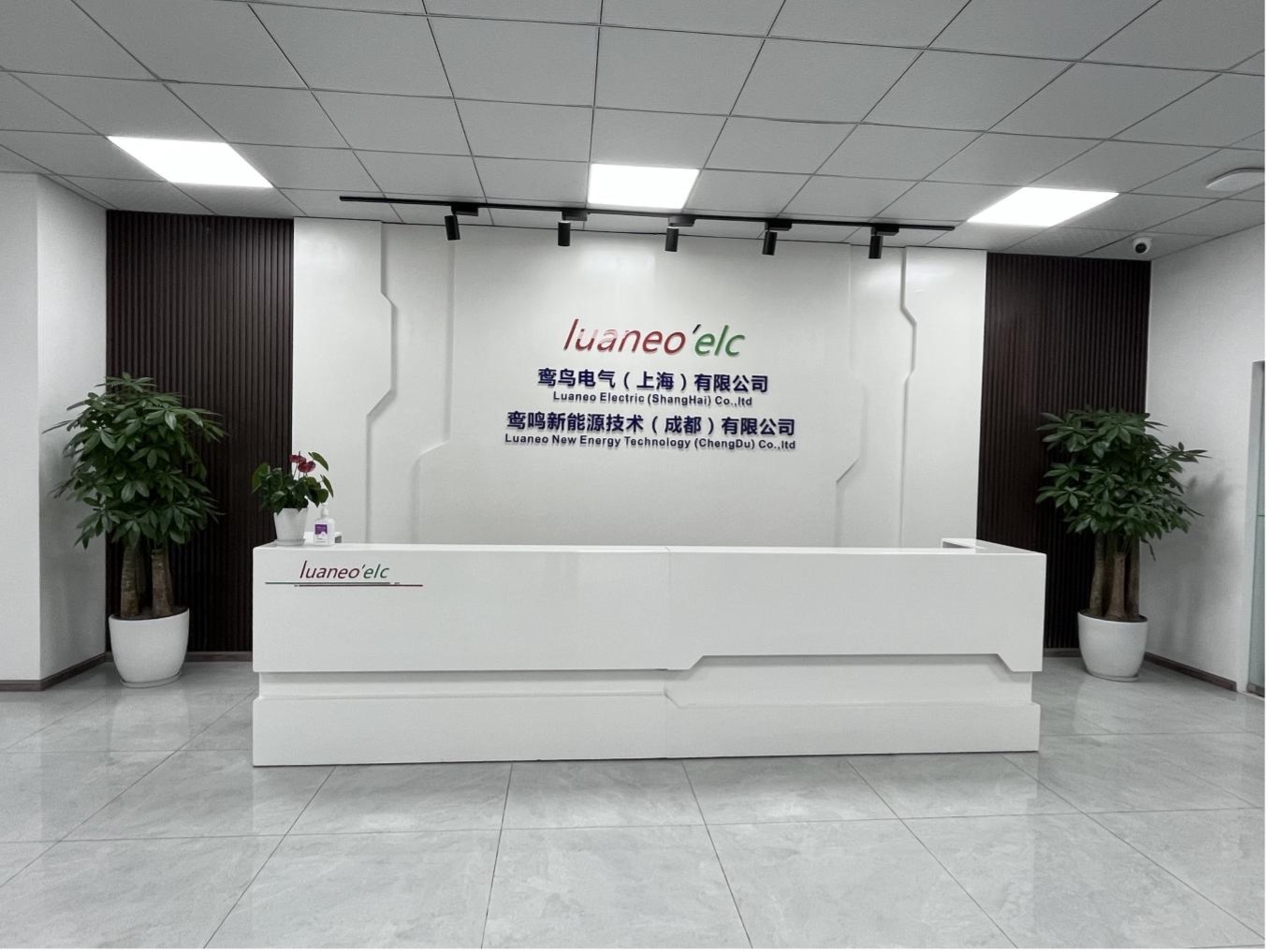 Luaneo Electric(Shanghai) Co.,Ltd.