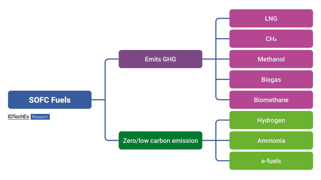 Fuel Flexibility of Solid Oxide Fuel Cells Paves Path to Hydrogen Economy, Finds IDTechEx