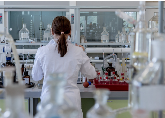 France Must Tackle Labour Shortages to Deliver Hydrogen Potential, Report Says, More than 100,000 Jobs are Projected to be Available in The Field by 2030