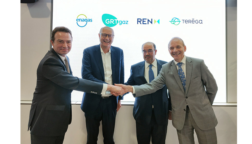 Transformation of the Gas Grid Into Hydrogen Grid