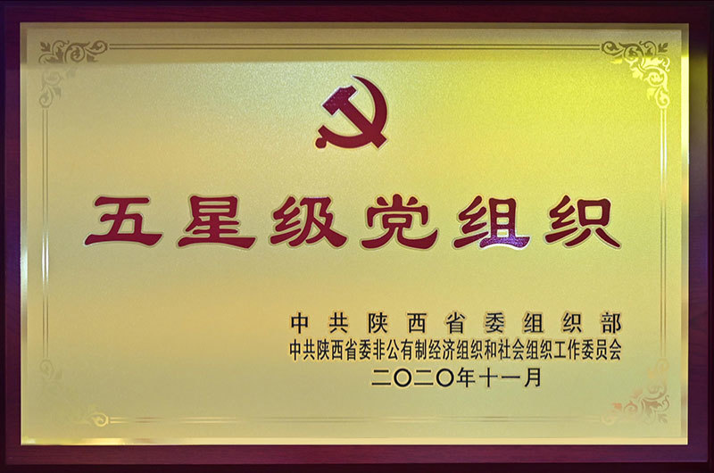党支部荣誉