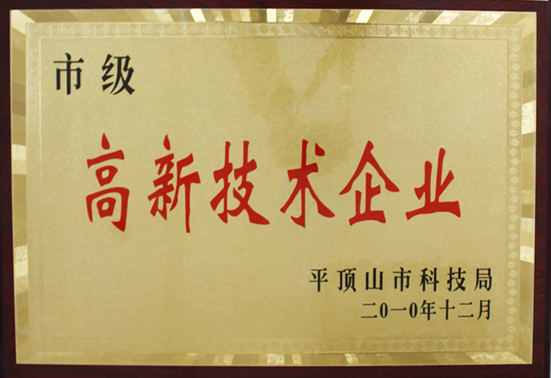 2010.12平頂山高薪技術(shù)企業(yè)