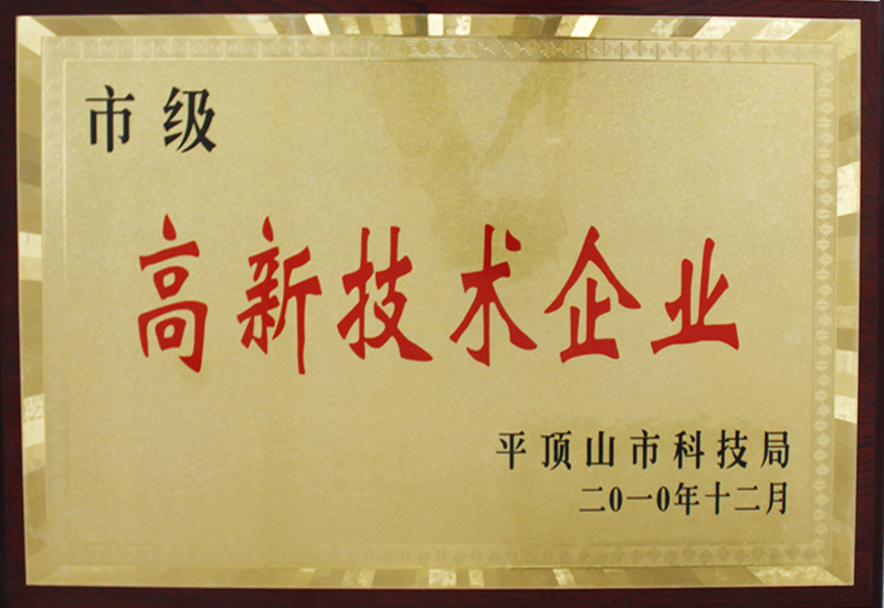 2010.12 High-tech Enterprise in Pingdingshan