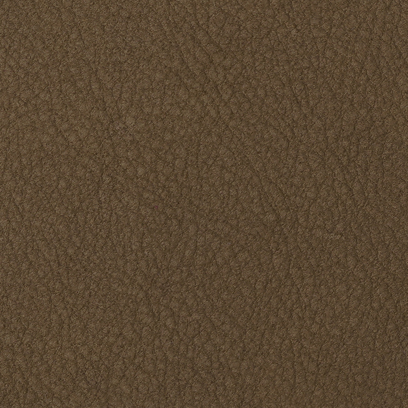 SEQUOIA