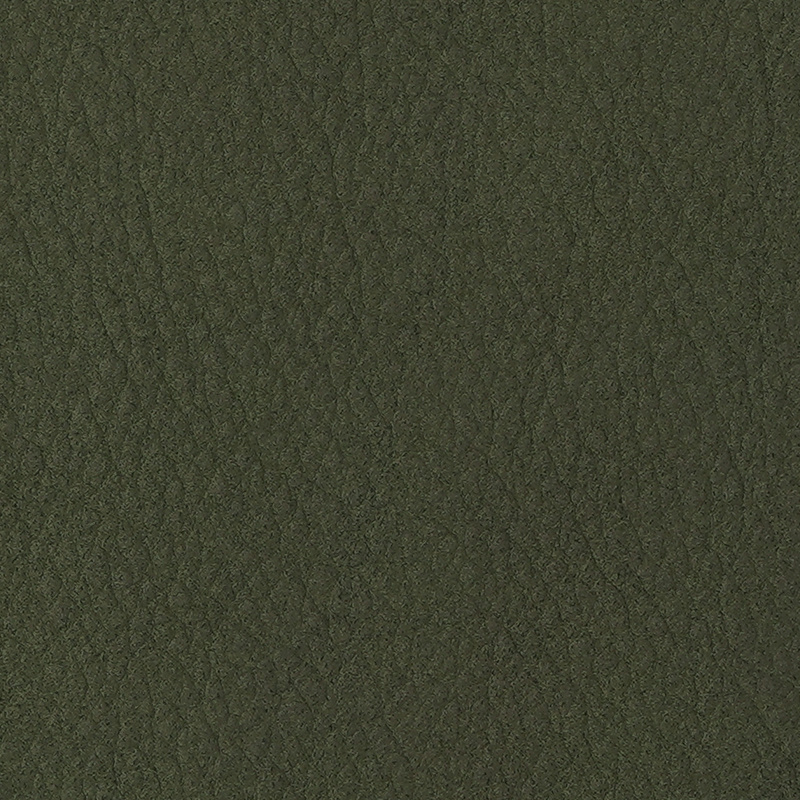 SEQUOIA