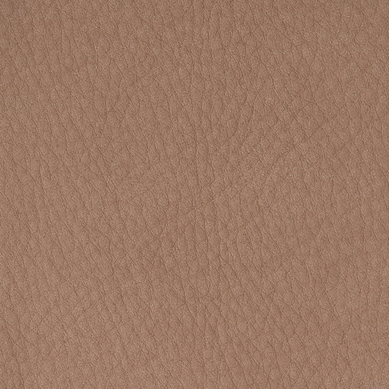 SEQUOIA