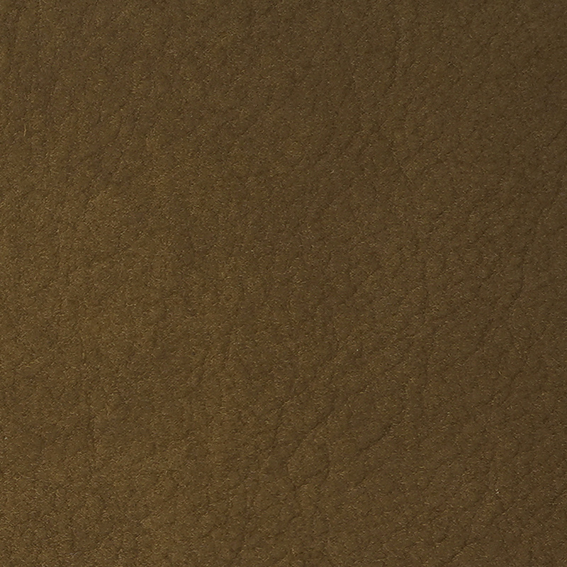 SEQUOIA