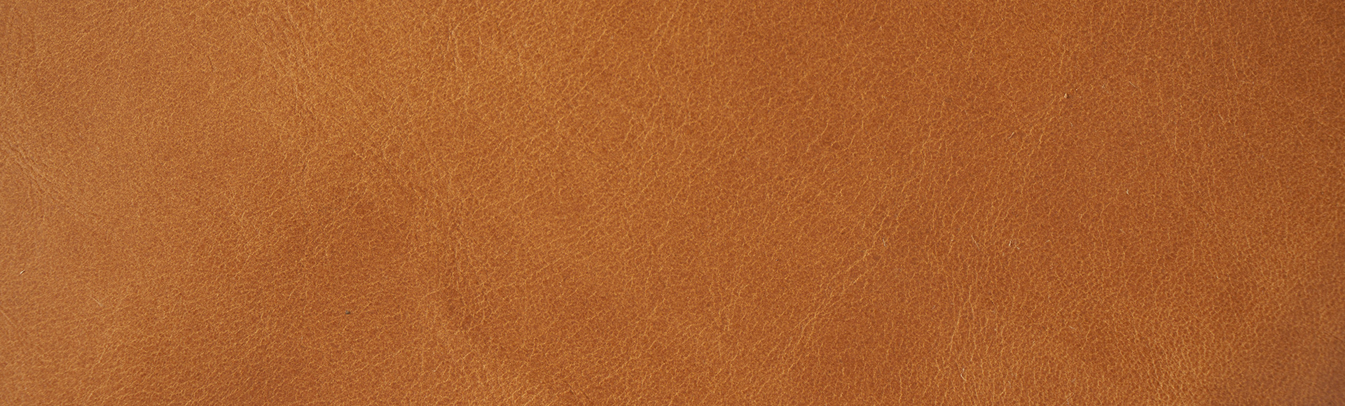 ORGANIC LEATHER