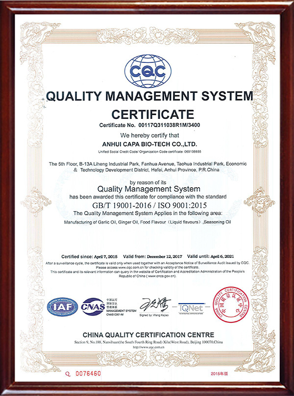 Quality Management System 19001--English Version