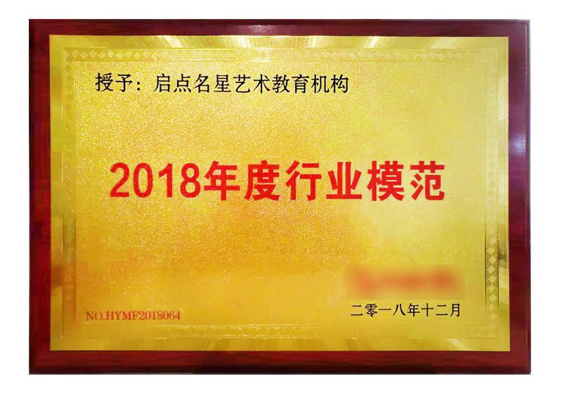 2018年度行业模范