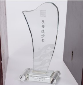 Quality Progress Award