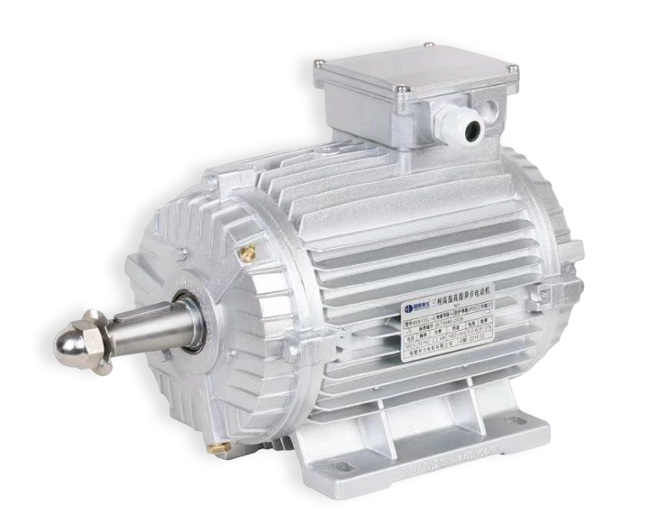 MSW MYW&SERIES HIGH TEMPERATURE AND HIGH HUMIDITY ASYNCHRONOUS MOTOR