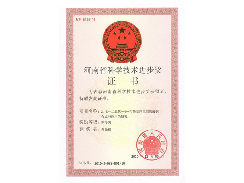 河南省科学技术进步三等奖