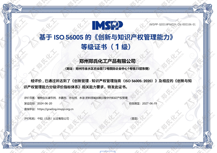 ISO56005《创新与知识产权管理能力》等级证书
