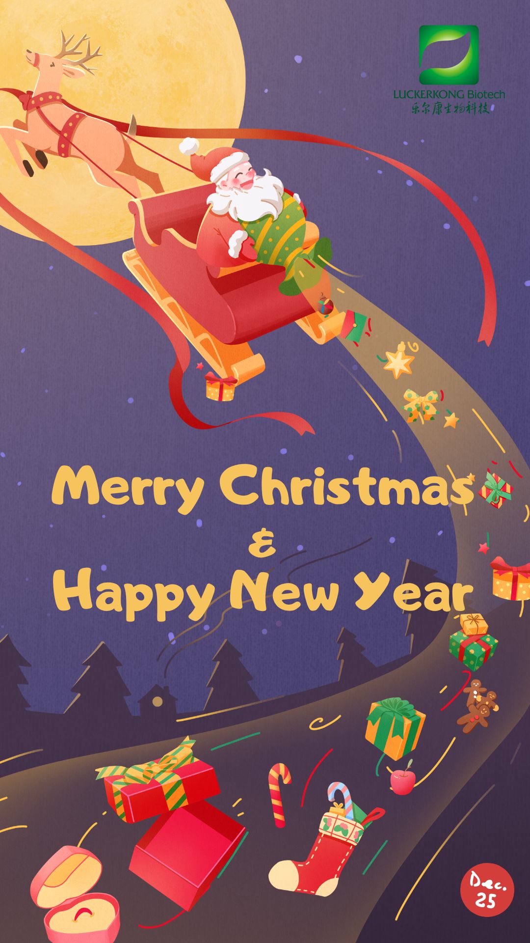 Merry Christmas & Happy New Year