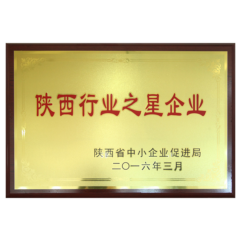 Won the title of Shanxi Provincial Star Enterprise in 2016