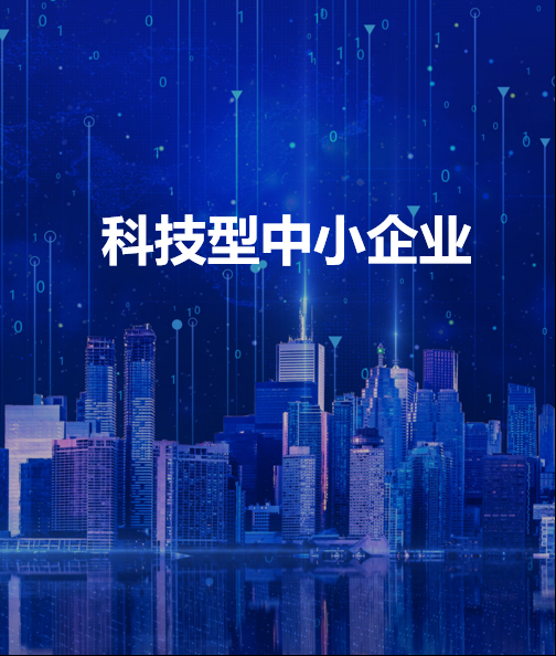 科技型中小企業(yè)