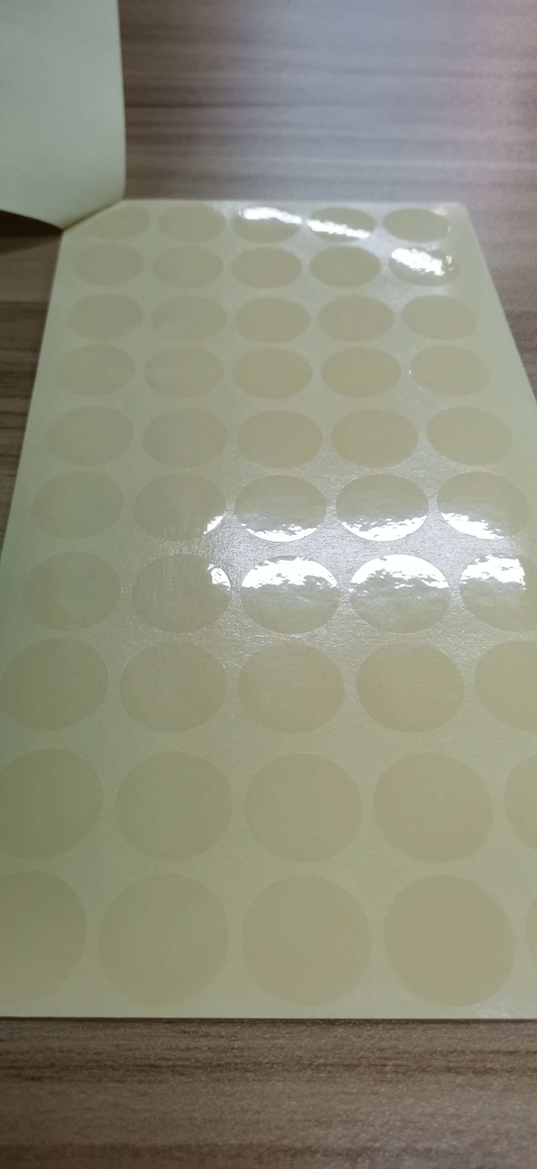 Adhesive Sticker（3）