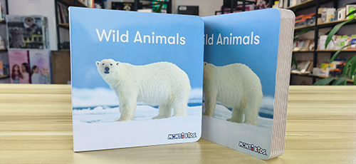 Book Category