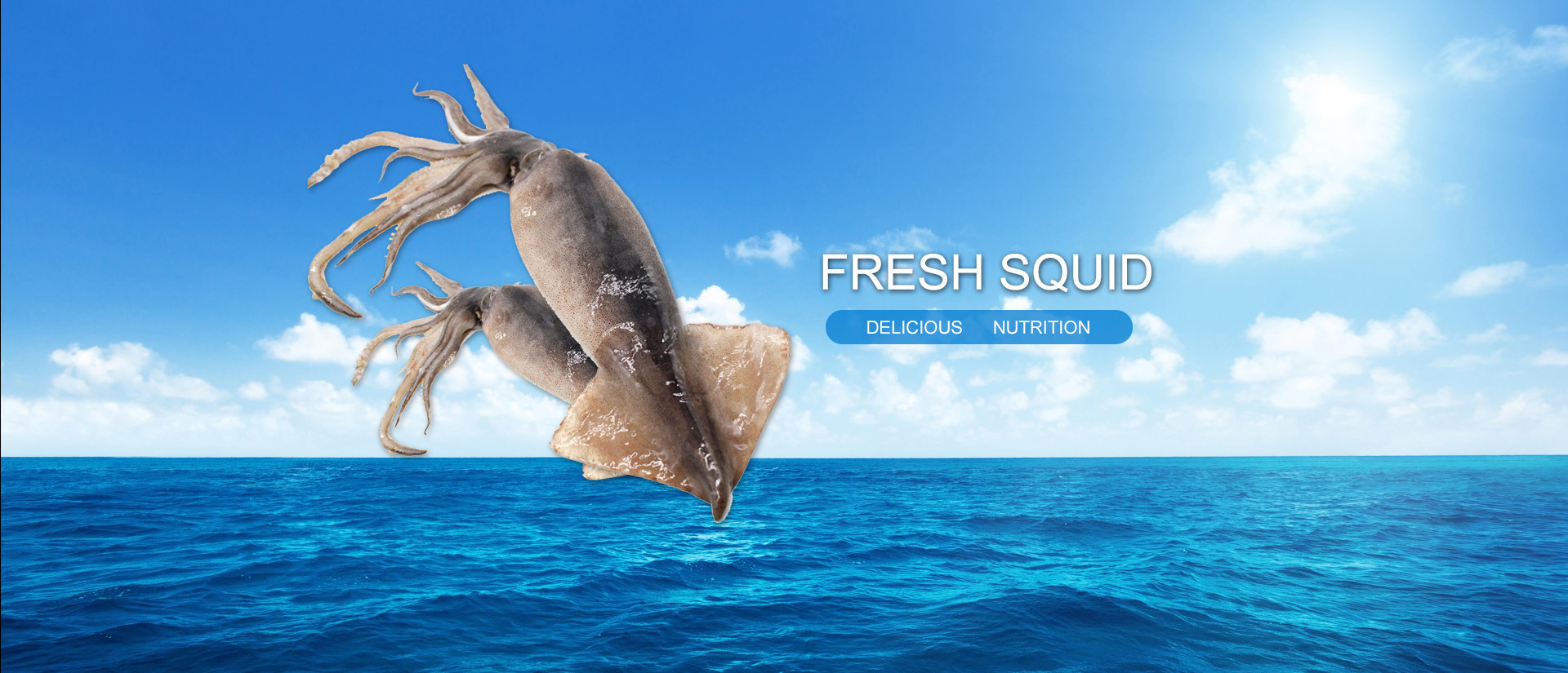 Wild Squid