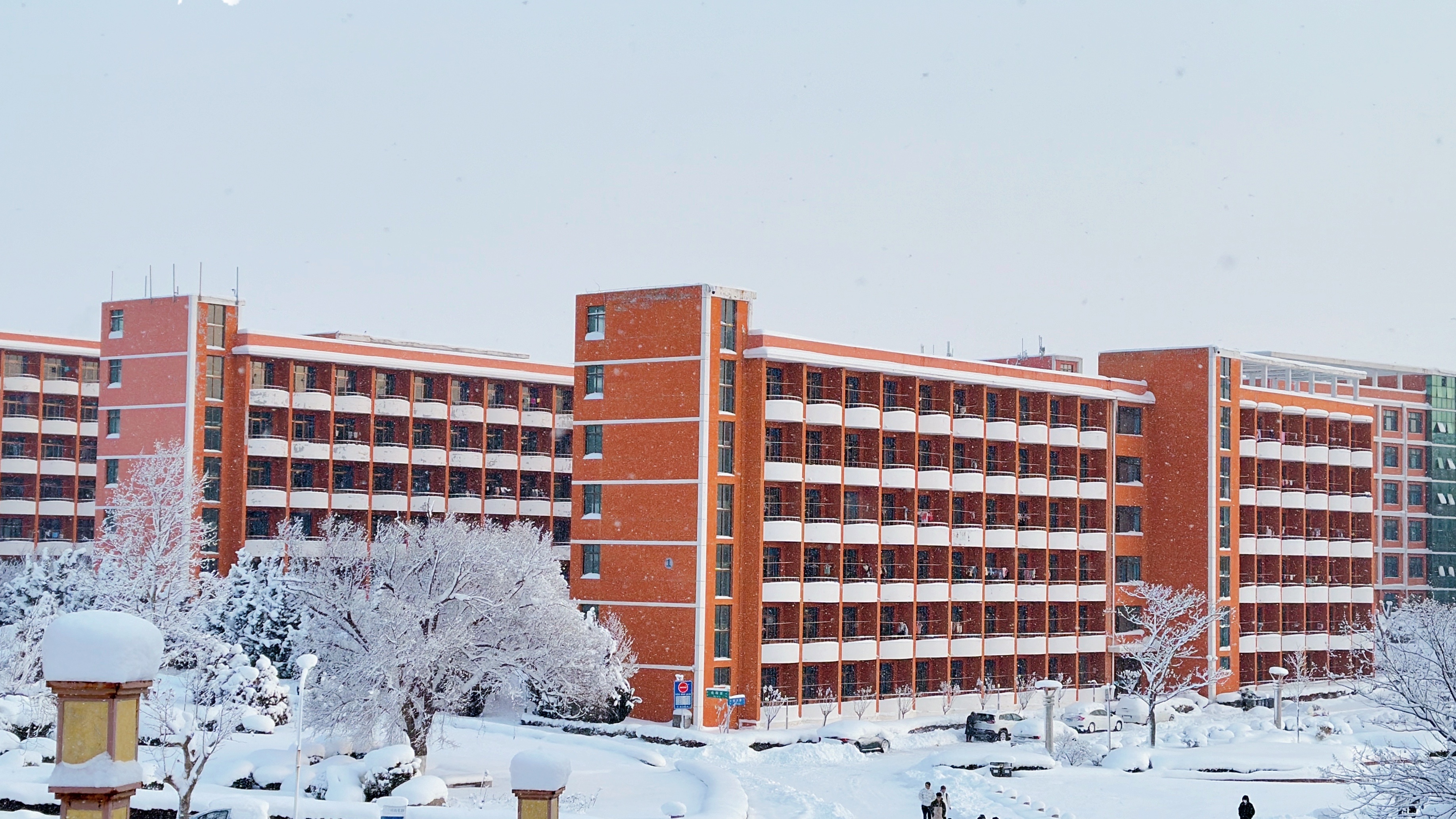 校园雪景