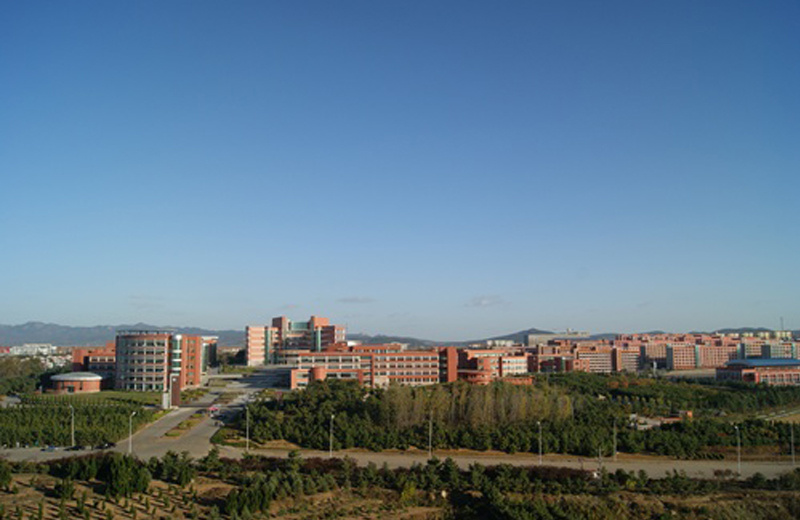 College Panorama