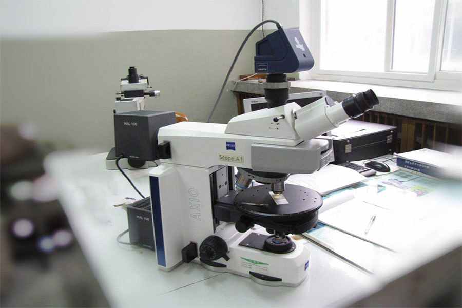 蔡司Axio Scope.A1研究級正立數字偏光顯微鏡