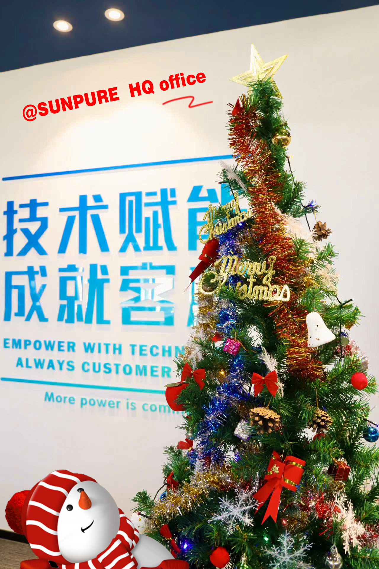 From Around the World: SUNPURE Offices Embrace Holiday Cheer with Diverse Christmas Trees 