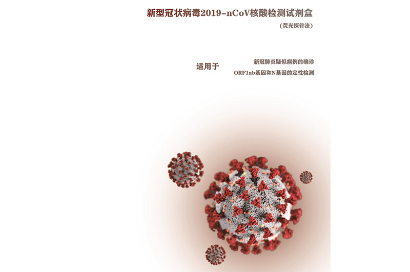 业力集团