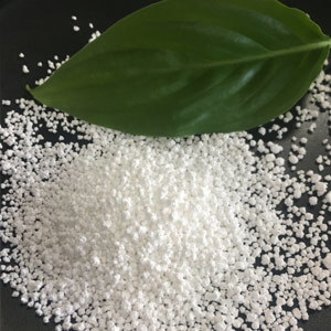 desiccant