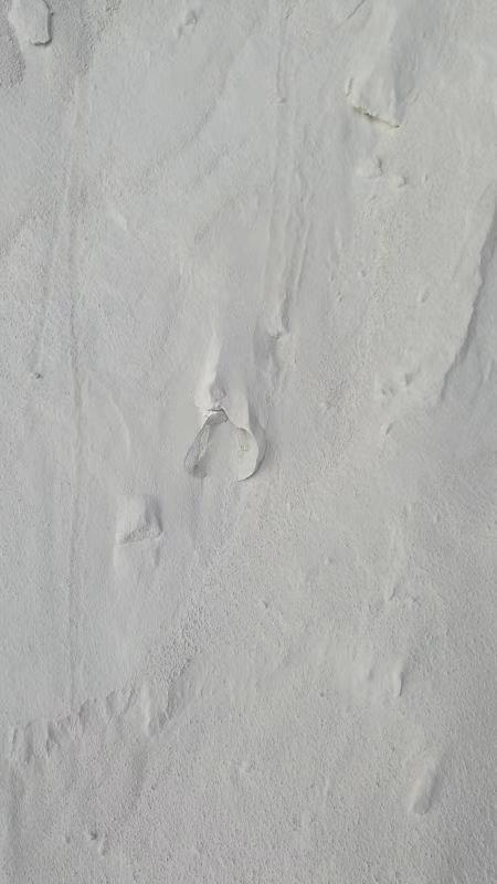 硫酸カリウム