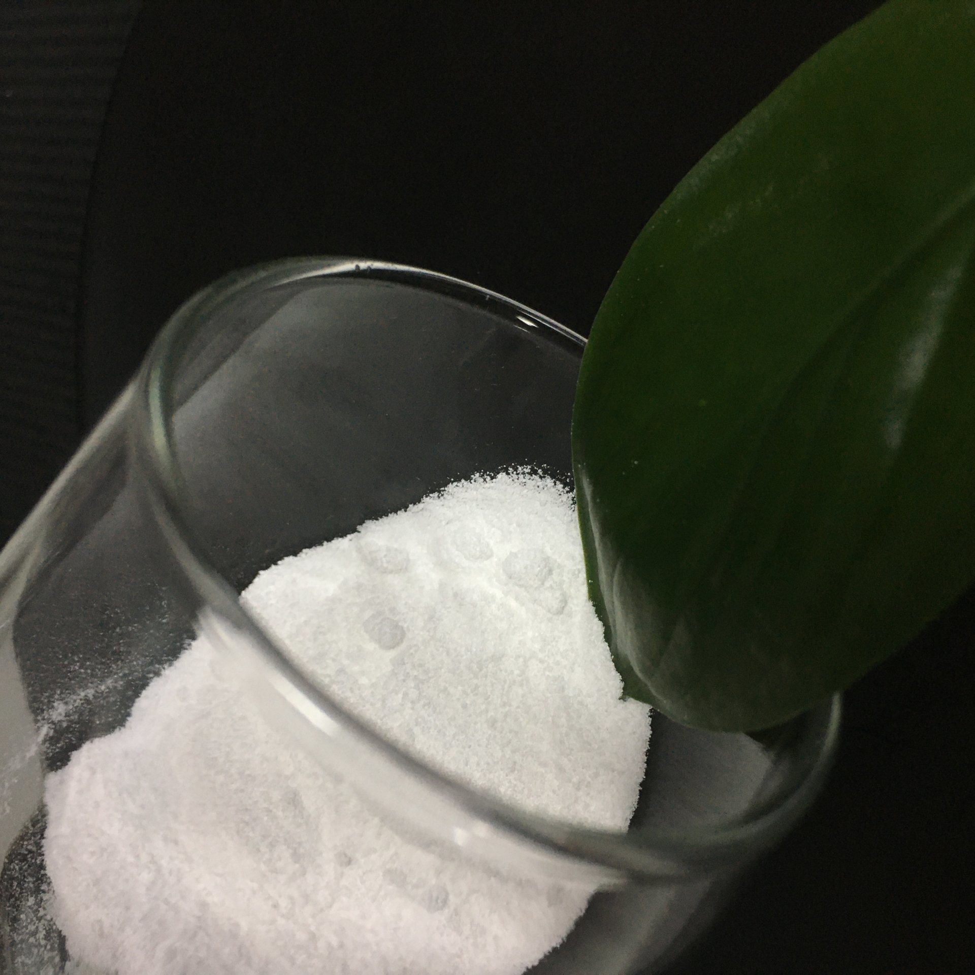 ライトベース