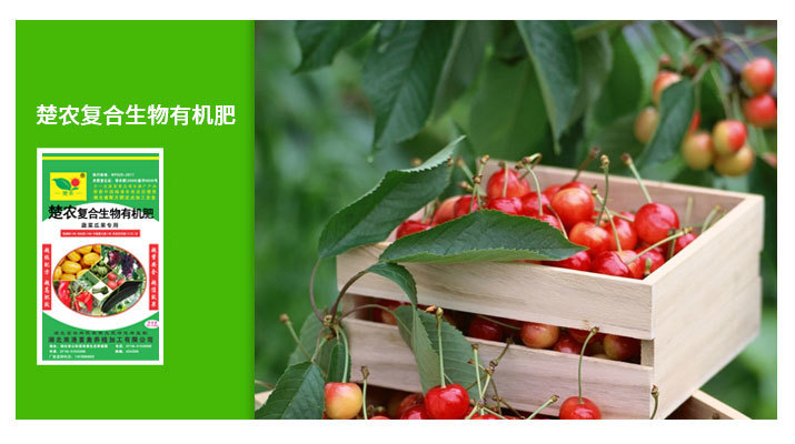楚农肥业