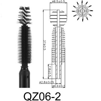 QZ-06