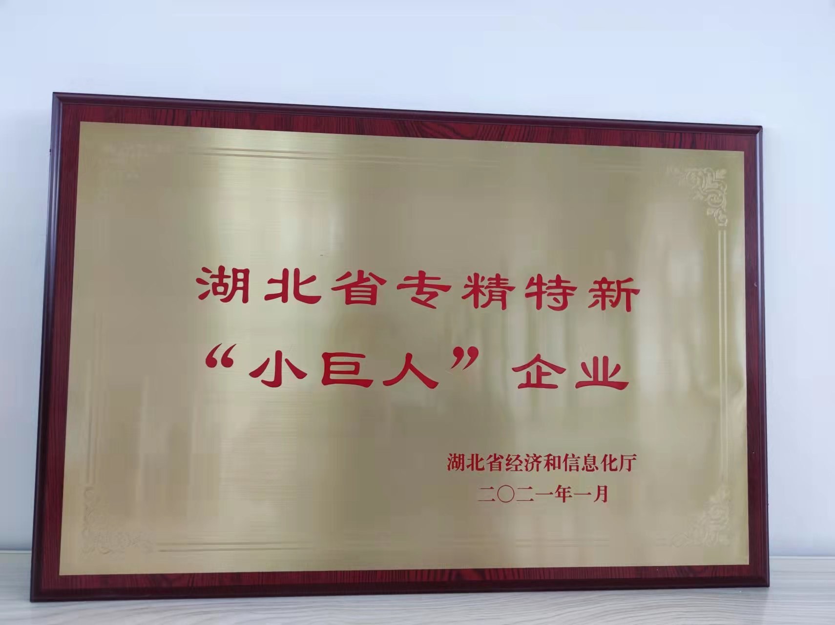 Small giant enterprise specializing in fine, special and new products in Hubei Province