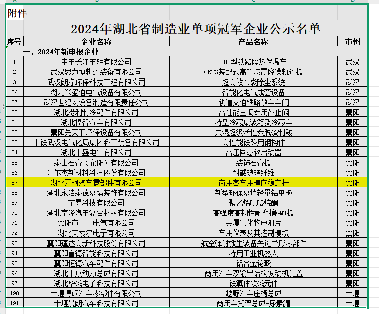 2024单项冠军