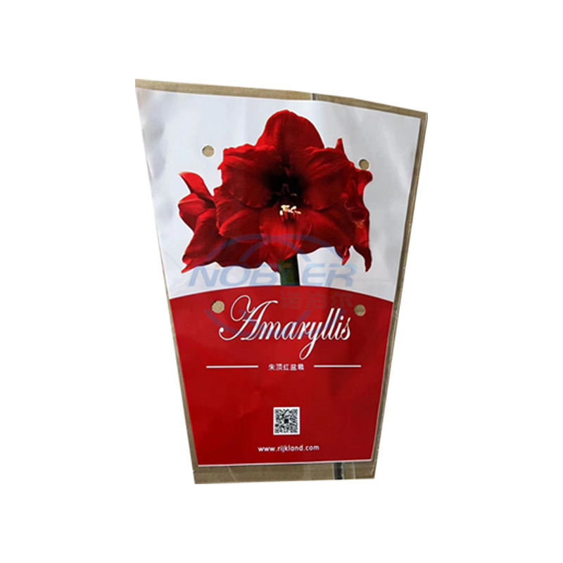Mangas de flores